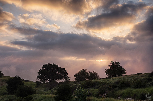 Gold In The Hills