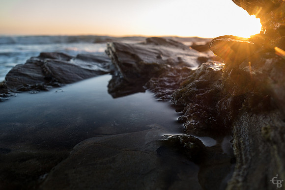 Crystal Cove Oct-5