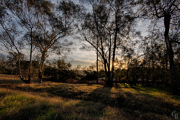 DSC_0516_HDR_Mapped