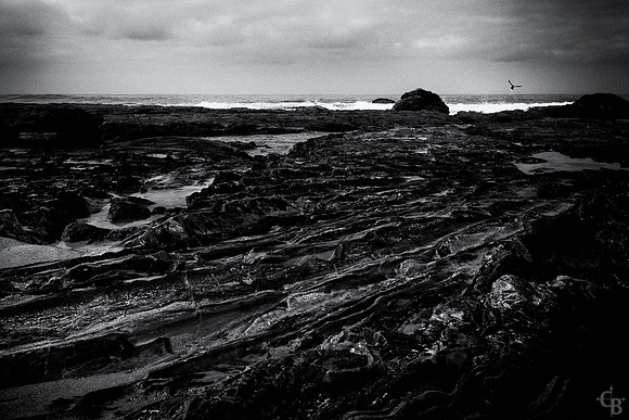 TidePools-2
