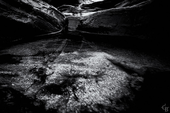 TidePools-5