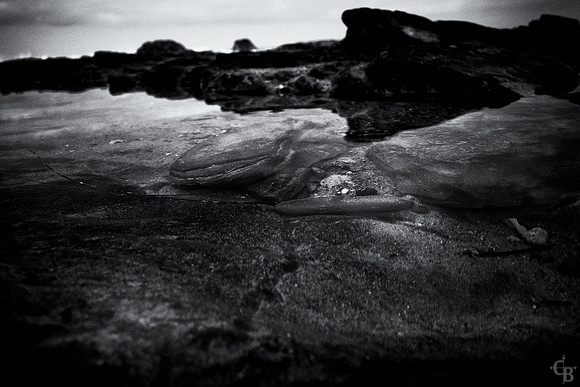 TidePools-7