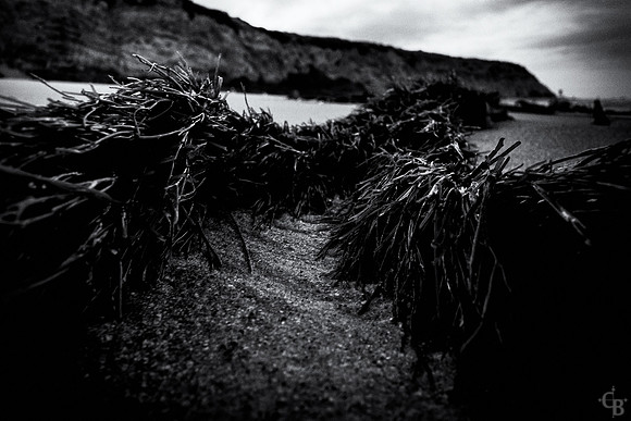 TidePools-8