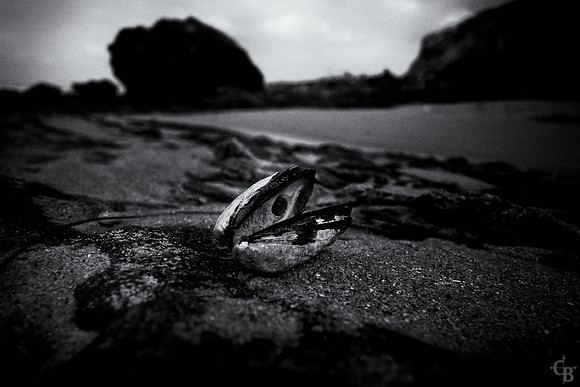 TidePools-9