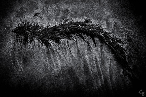 TidePools-11