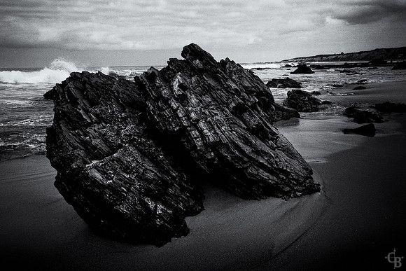TidePools-12