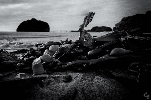 TidePools-14