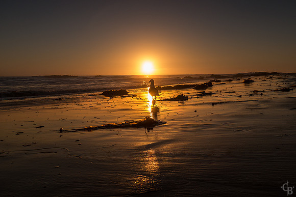 Crystal Cove Oct-6