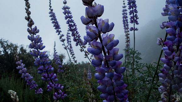 A Rainy Day-5