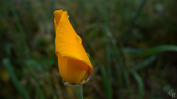 A Rainy Day-4