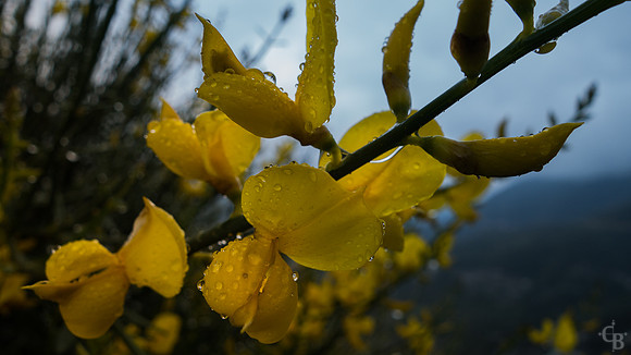A Rainy Day-7