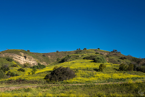 A San Dimas Morning-2