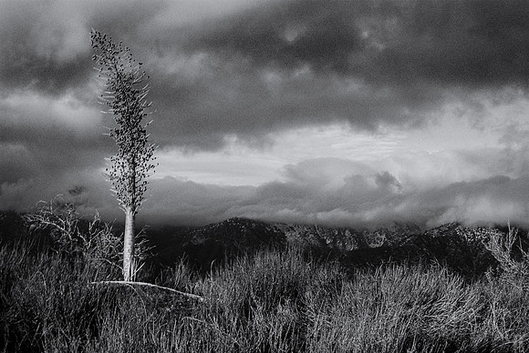 Glendora Ridge Sunset-5