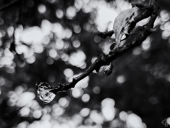 Walkin in the Rain-3