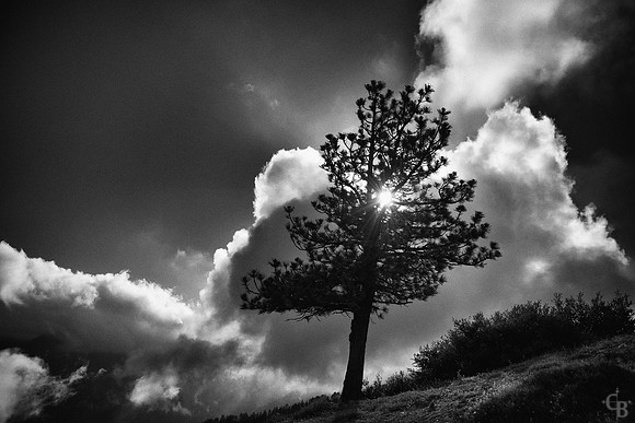PCT Sunset-1