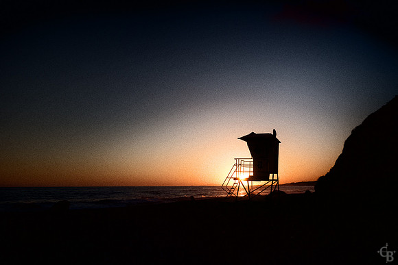 Cove Gold-6