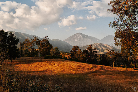 P1040734-Edit-2_FlatCrop