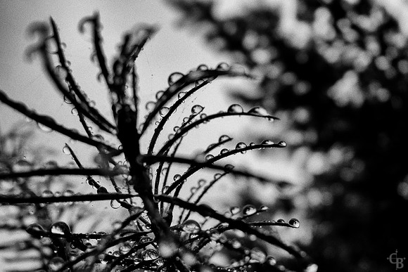 October Rain