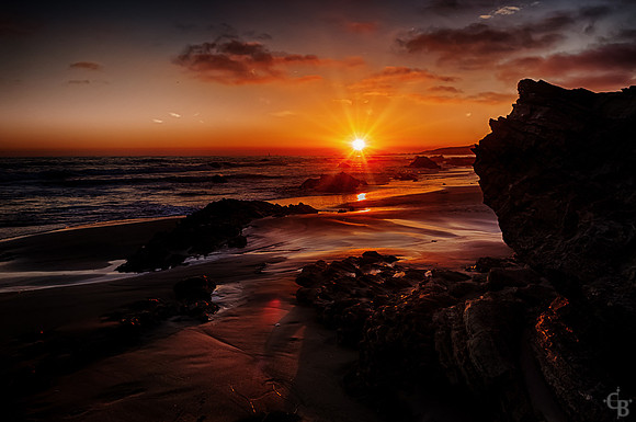 California Gold-1