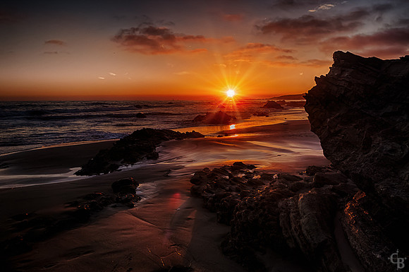 California Gold-4