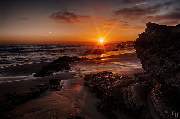 California Gold-3