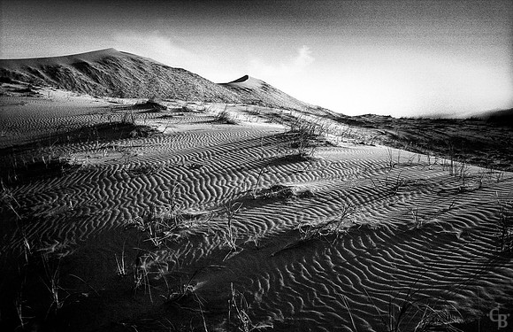 One Roll-5