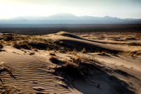Mojave-5