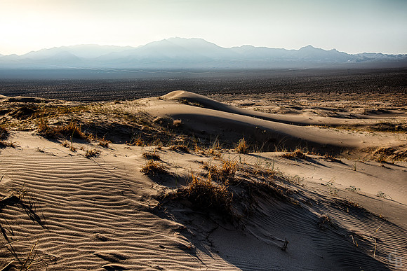 Mojave-5