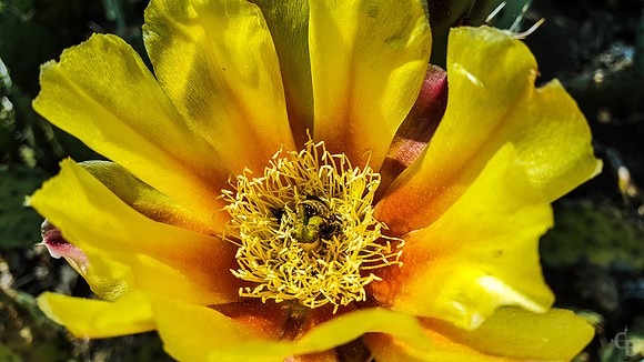 Botanic Garden S6 Test-1