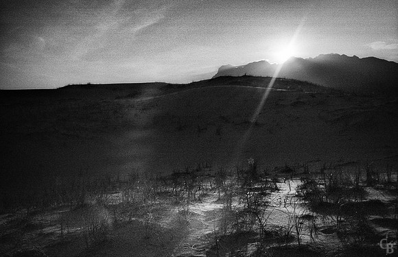 One Roll-2