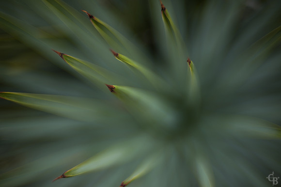 Soft and Sharp