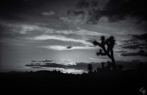 One Roll-15