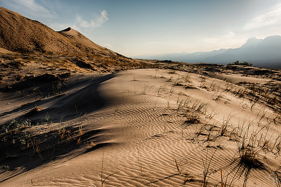 Mojave-4