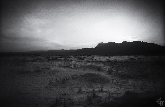 One Roll-1