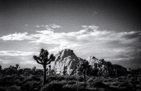 One Roll-11