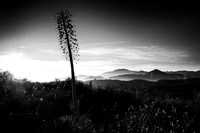 Glendora Ridge Sunset-2