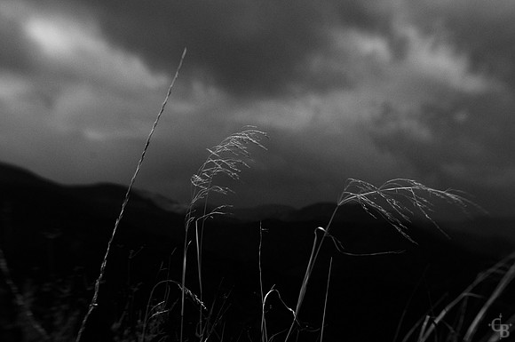 In The Storm-2
