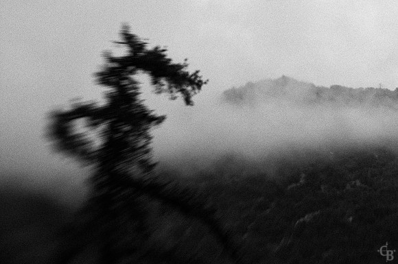 DSC_5185-Edit