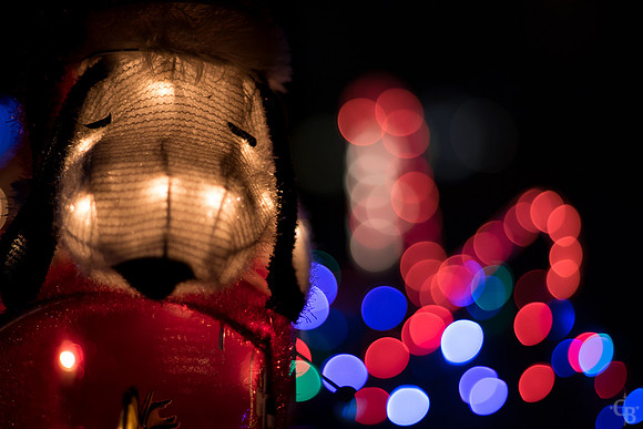 Christmas Lights 2016-10