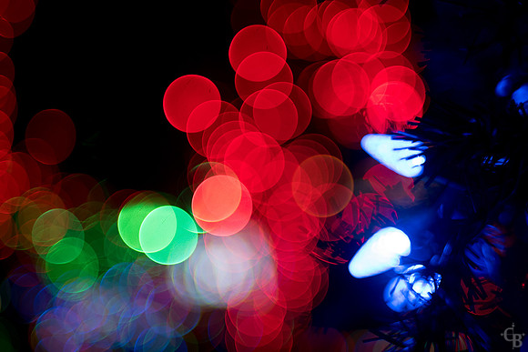 Christmas Lights 2016-7