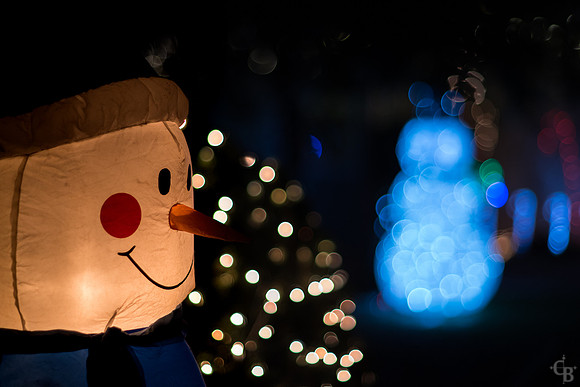Christmas Lights 2016-2