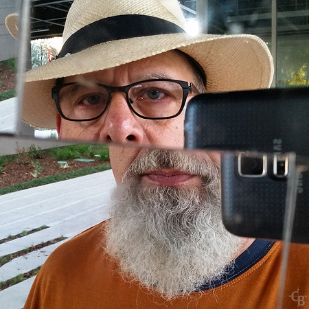 Mirror Man