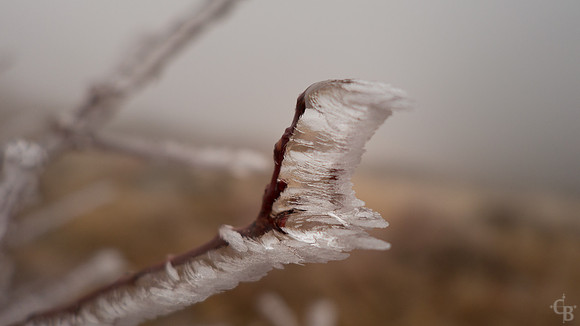 Wind and Ice-3