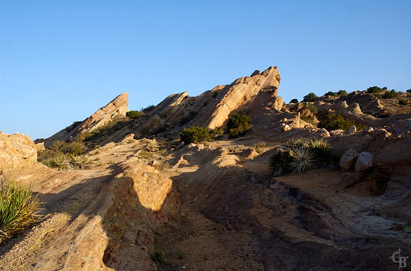 DSC_01555