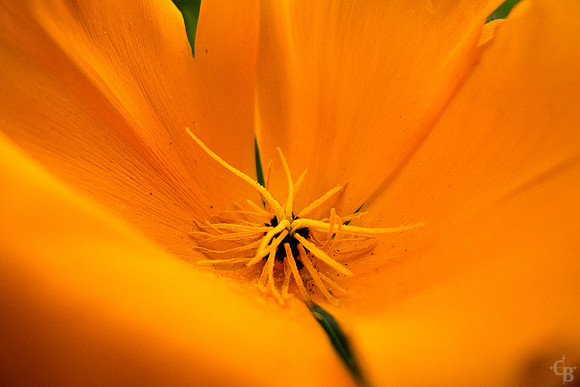 P1020158