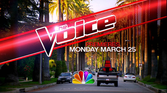 THE VOICE - PICK UP (02597)
