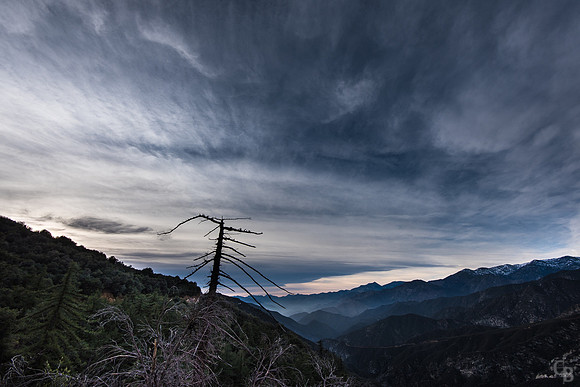Winter Solstice Sky