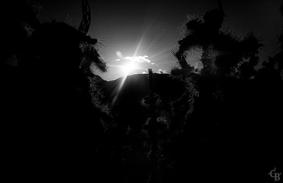 Film in JT 6
