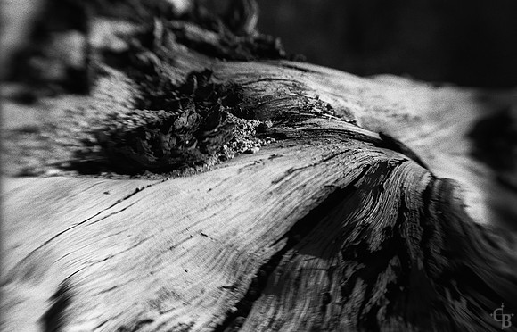 Angeles Crest 052012-4