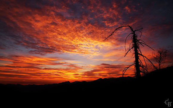Fire In The Sky